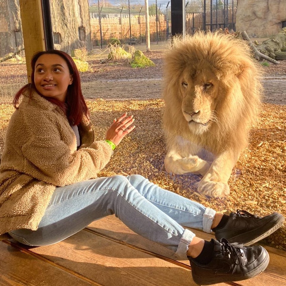 Hertfordshire's Paradise Wildlife Park sets out reopening plan