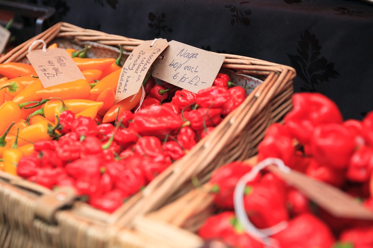 What's on at Waddesdon, August 2019 - Chilli Fest