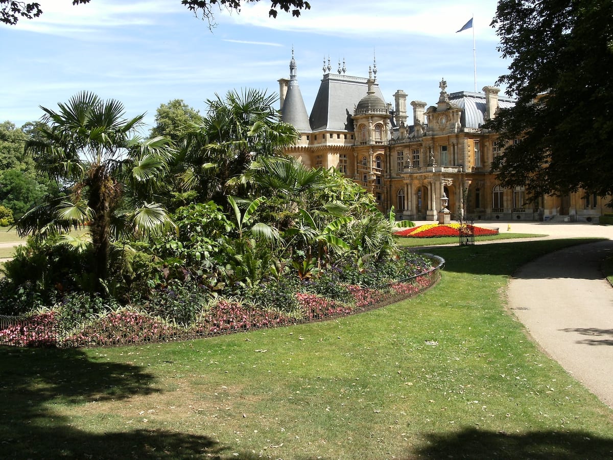 What's on at Waddesdon, August 2019 - The Tropical Mound at Waddesdon