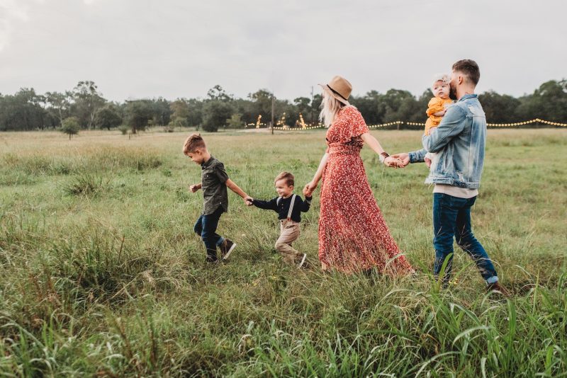 Five things to do this February half term in Hertfordshire