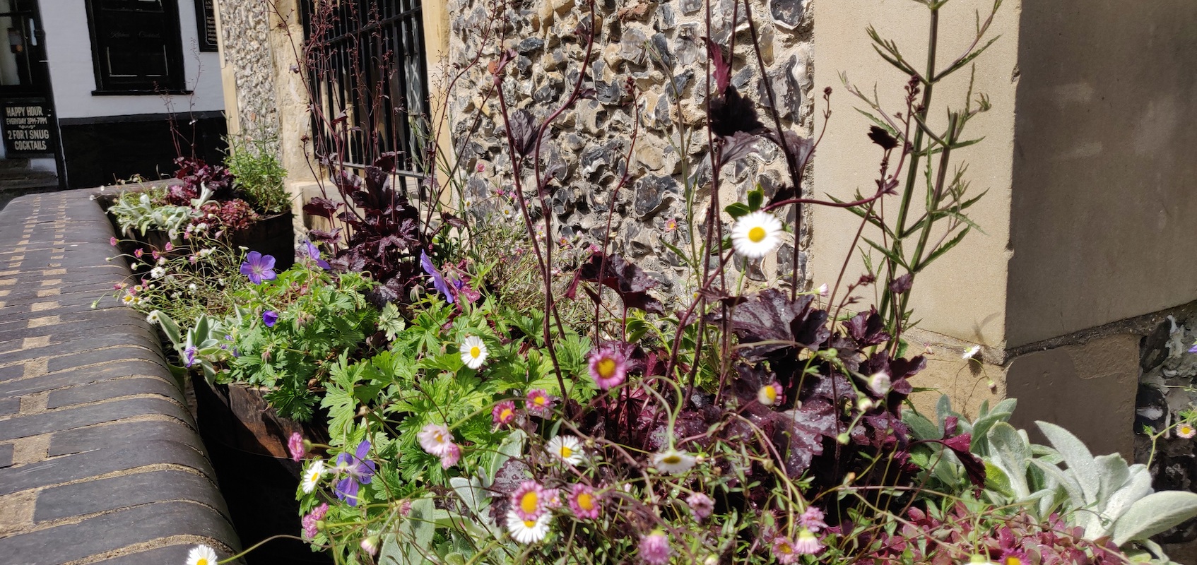 St Albans City Centre Pollinator Project