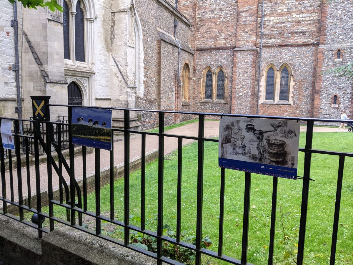 Community arts project launches in St Albans