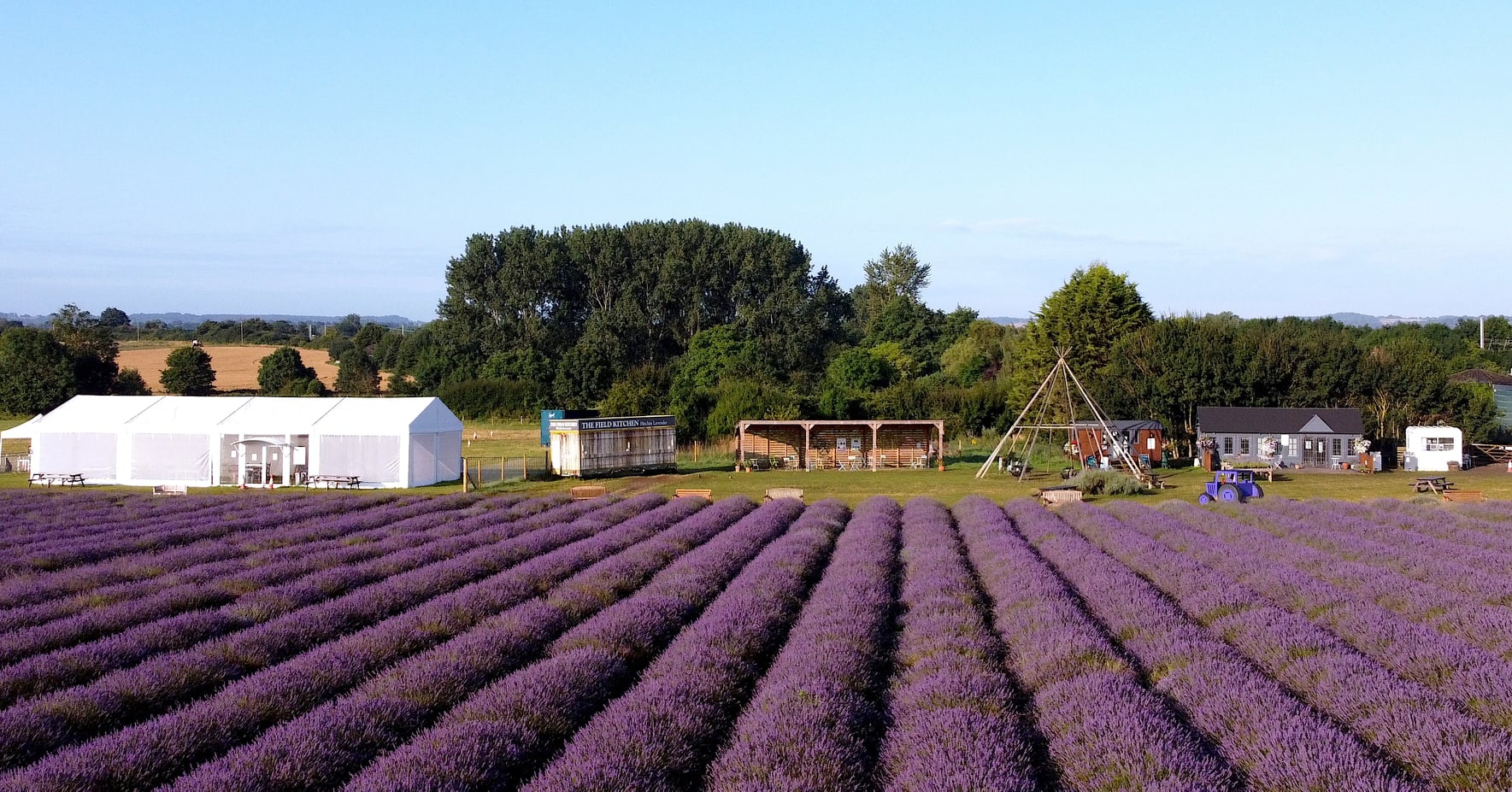 Hitchin Lavender fields