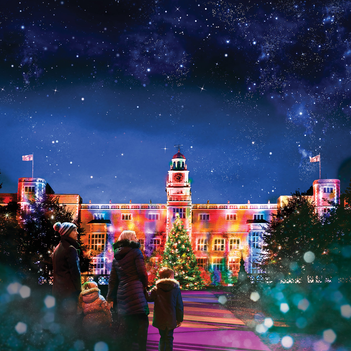 Hatfield Park’s Christmas trail opens with amazing fire garden | Fire Garden by Culture Creative. My Christmas Trails