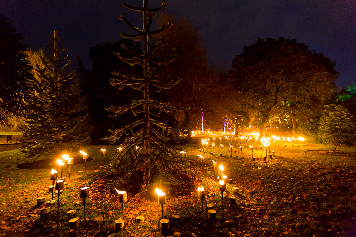 Hatfield Park’s Christmas trail opens with amazing fire garden