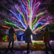 Hatfield Park’s Christmas trail opens with amazing fire garden