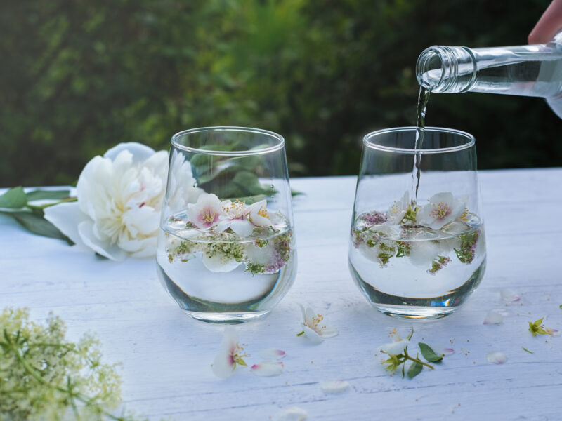 gin and tonic cocktail with flower ice cubes.