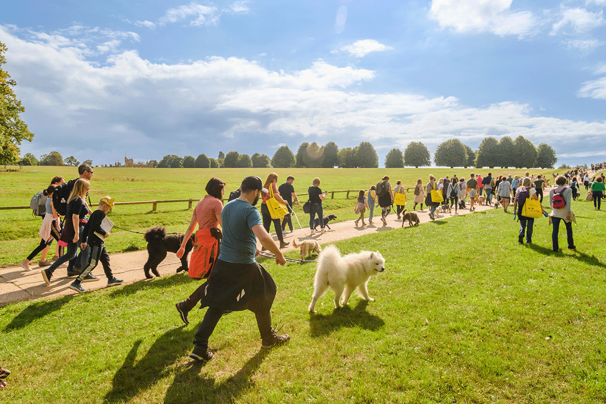 Front view of Blenheim Palace on a bright summer day, with visitors enjoying the grounds